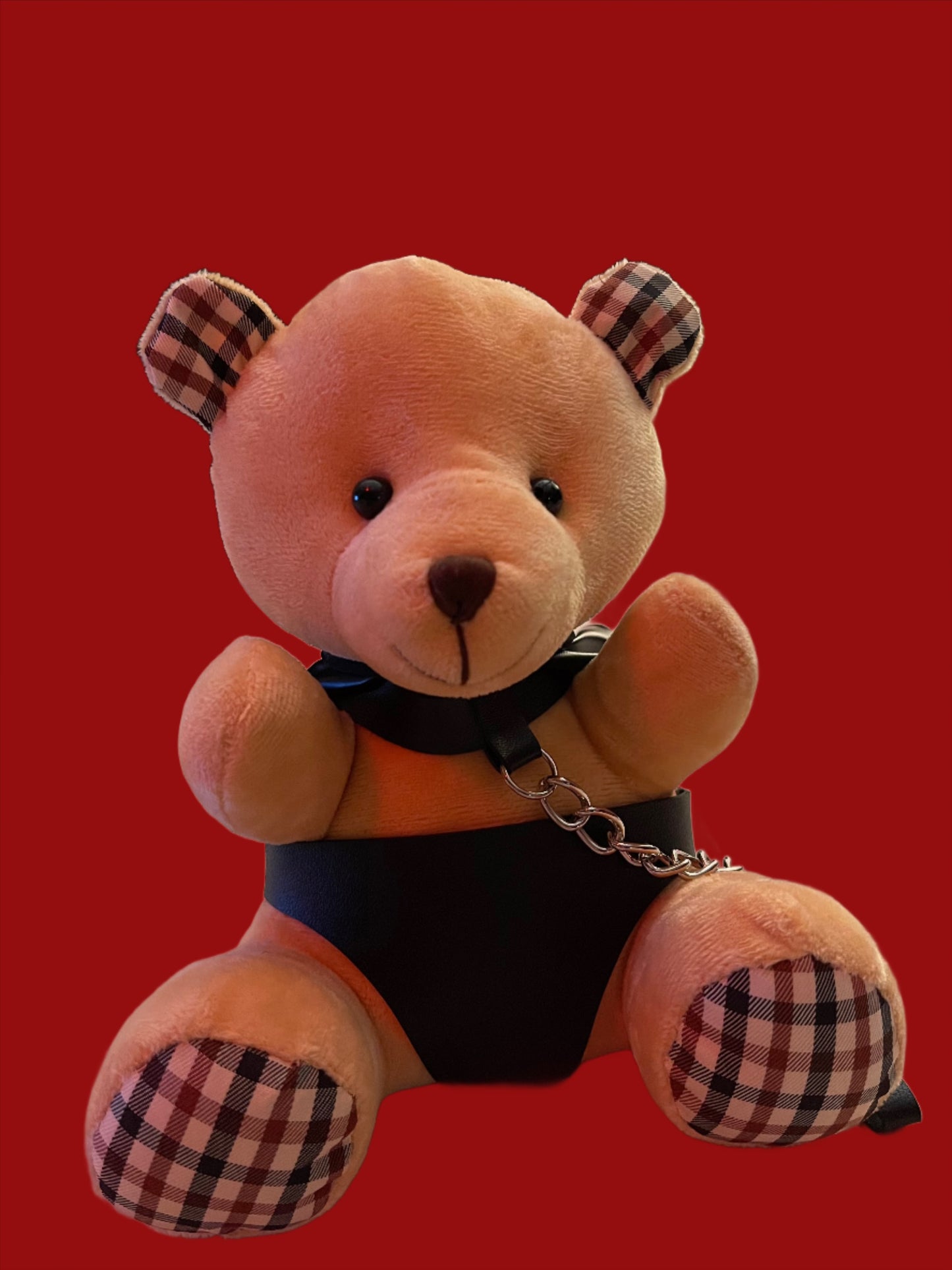 Bondage Bear